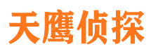 八道江市侦探公司